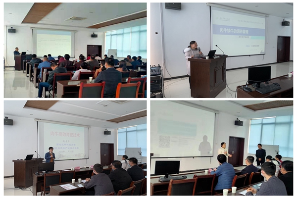专家讲座.jpg